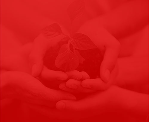 心次方星链科技